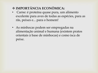  IMPORTÂNCIA ECONÔMICA:
• Carne: é proteína quase pura, um alimento
  excelente para aves de todas as espécies, para as
  rãs, peixes e... para o homem!

• As minhocas podem ser empregadas na
  alimentação animal e humana (existem pratos
  orientais à base de minhocas) e como isca de
  peixe.
 
