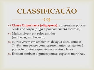 CLASSIFICAÇÃO
            
 Classe Oligochaeta (oligoqueta): apresentam poucas
  cerdas no corpo (oligo = poucos; chaeta = cerdas).
 Muitos vivem em solos úmidos
  (minhocas, minhocuçu);
 outros vivem em ambientes de água doce, como o
  Tubifex, um gênero com representantes resistentes à
  poluição orgânica que vivem em rios e lagos.
 Existem também algumas poucas espécies marinhas.
 