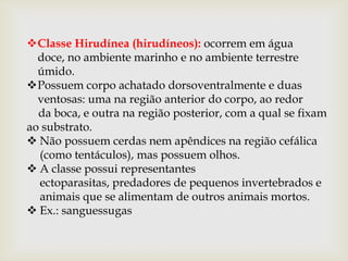 Classe Hirudínea (hirudíneos): ocorrem em água
  doce, no ambiente marinho e no ambiente terrestre
  úmido.
Possuem corpo achatado dorsoventralmente e duas
  ventosas: uma na região anterior do corpo, ao redor
  da boca, e outra na região posterior, com a qual se fixam
ao substrato.
 Não possuem cerdas nem apêndices na região cefálica
  (como tentáculos), mas possuem olhos.
 A classe possui representantes
  ectoparasitas, predadores de pequenos invertebrados e
  animais que se alimentam de outros animais mortos.
 Ex.: sanguessugas
 