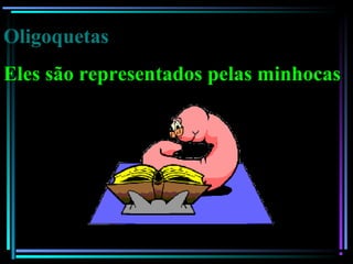 Oligoquetas
Eles são representados pelas minhocas
 