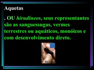 Aquetas
. OU hirudíneos, seus representantes
são as sanguessugas, vermes
terrestres ou aquáticos, monóicos e
com desenvolvimento direto.
 