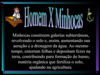 Minhocas constroem galerias subterrâneas,
revolvendo o solo e, assim, aumentando sua
aeração e a drenagem da água. Ao mesmo
tempo, enterram folhas e depositam fezes na
terra, contribuindo para formação do humo,
matéria orgânica que fertiliza o solo,
ajudando na agricultura.
 