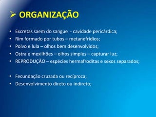  ORGANIZAÇÃO
•
•
•
•
•

Excretas saem do sangue - cavidade pericárdica;
Rim formado por tubos – metanefrídios;
Polvo e lula – olhos bem desenvolvidos;
Ostra e mexilhões – olhos simples – capturar luz;
REPRODUÇÃO – espécies hermafroditas e sexos separados;

• Fecundação cruzada ou recíproca;
• Desenvolvimento direto ou indireto;

 