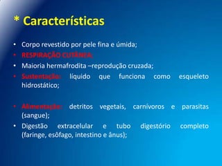 * Características
•
•
•
•

Corpo revestido por pele fina e úmida;
RESPIRAÇÃO CUTÂNEA;
Maioria hermafrodita –reprodução cruzada;
Sustentação: líquido que funciona como
hidrostático;

esqueleto

• Alimentação: detritos vegetais, carnívoros e parasitas
(sangue);
• Digestão extracelular e tubo digestório completo
(faringe, esôfago, intestino e ânus);

 