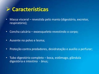  Características
• Massa visceral – revestida pelo manto (digestório, excretor,
respiratório);
• Concha calcária – exoesqueleto revestindo o corpo;
• Ausente no polvo e lesma;
• Proteção contra predadores, desidratação e auxílio a perfurar;

• Tubo digestório completo – boca, estômago, glândula
digestória e intestino - ânus;

 