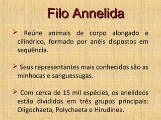 Filo Annelida
 Reúne animais de corpo alongado e
cilíndrico, formado por anéis dispostos em
sequência.
 Seus representantes mais conhecidos são as
minhocas e sanguessugas.
 Com cerca de 15 mil espécies, os anelídeos
estão divididos em três grupos principais:
Oligochaeta, Polychaeta e Hirudinea.

 