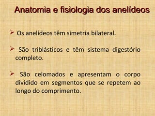 Anatomia e fisiologia dos anelídeos
 Os anelídeos têm simetria bilateral.
 São triblásticos e têm sistema digestório
completo.
 São celomados e apresentam o corpo
dividido em segmentos que se repetem ao
longo do comprimento.

 