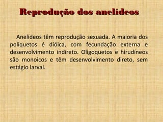 Reprodução dos anelídeos
Anelídeos têm reprodução sexuada. A maioria dos
poliquetos é dióica, com fecundação externa e
desenvolvimento indireto. Oligoquetos e hirudíneos
são monoicos e têm desenvolvimento direto, sem
estágio larval.

 