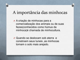 A importância das minhocas
O A criação de minhocas para a

comercialização dos animais ou de suas
fezes(conhecidos como húmus da
minhoca)é chamada de minhocultura.
O Quando se deslocam sob aterra e

constroem seus tuneis ,as minhocas
tornam o solo mais arejado.

 