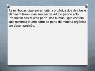 O As minhocas digerem a matéria orgânica dos detritos e

eliminam fezes, que servem de adubo para o solo.
Produzem assim uma parte dos húmus ,que contém
sais minerais e uma parte da parte de matéria orgânica
em decomposição.

 