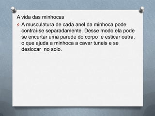 A vida das minhocas
O A musculatura de cada anel da minhoca pode
contrai-se separadamente. Desse modo ela pode
se encurtar uma parede do corpo e esticar outra,
o que ajuda a minhoca a cavar tuneis e se
deslocar no solo.

 