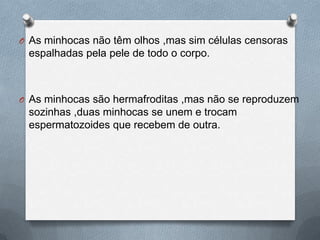 O As minhocas não têm olhos ,mas sim células censoras

espalhadas pela pele de todo o corpo.

O As minhocas são hermafroditas ,mas não se reproduzem

sozinhas ,duas minhocas se unem e trocam
espermatozoides que recebem de outra.

 