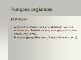 Funções orgânicas
RESPIRAÇÃO




respiração cutânea (trocas por difusão): pele fina,
úmida e vascularizada  sanguessugas, minhocas e
alguns poliquetos;
branquial (parapódios em poliquetos de maior porte).

 
