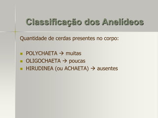 Classificação dos Anelídeos
Quantidade de cerdas presentes no corpo:





POLYCHAETA  muitas
OLIGOCHAETA  poucas
HIRUDINEA (ou ACHAETA)  ausentes

 