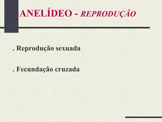 ANELÍDEO - REPRODUÇÃO
. Reprodução sexuada
. Fecundação cruzada
 