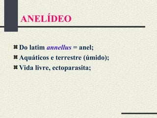 ANELÍDEO
Do latim annellus = anel;
Aquáticos e terrestre (úmido);
Vida livre, ectoparasita;
 