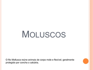 MOLUSCOS
O filo Mollusca reúne animais de corpo mole e flexível, geralmente
protegido por concha o calcária.

 