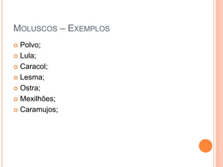 MOLUSCOS – EXEMPLOS
Polvo;
 Lula;
 Caracol;
 Lesma;
 Ostra;
 Mexilhões;
 Caramujos;


 