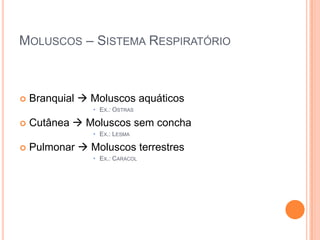 MOLUSCOS – SISTEMA RESPIRATÓRIO



Branquial  Moluscos aquáticos
• EX.: OSTRAS



Cutânea  Moluscos sem concha
• EX.: LESMA



Pulmonar  Moluscos terrestres
• EX.: CARACOL

 