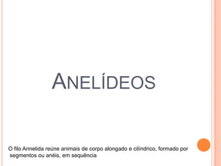 ANELÍDEOS
O filo Annelida reúne animais de corpo alongado e cilíndrico, formado por
segmentos ou anéis, em sequência

 