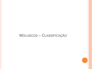 MOLUSCOS – CLASSIFICAÇÃO

 