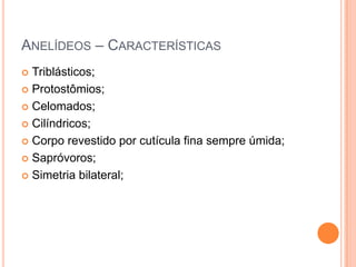 ANELÍDEOS – CARACTERÍSTICAS
Triblásticos;
 Protostômios;
 Celomados;
 Cilíndricos;
 Corpo revestido por cutícula fina sempre úmida;
 Sapróvoros;
 Simetria bilateral;


 