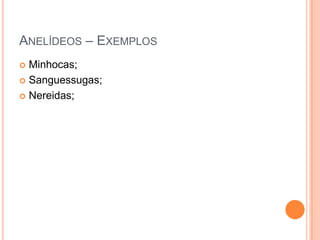 ANELÍDEOS – EXEMPLOS
Minhocas;
 Sanguessugas;
 Nereidas;


 
