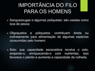 IMPORTÂNCIA DO FILO 
PARA OS HOMENS 
 Sanguessugas e algumas poliquetas: são usadas como 
isca de pesca; 
 Oligoquetos e poliquetos: contribuem direta ou 
indiretamente para alimentação de algumas espécies 
consumidas pelo homem; 
 Solo: sua capacidade escavadora revolve o solo, 
arejando-o, enriquecendo-o com nutrientes, isso 
favorece o plantio e aumenta a capacidade da colheita. 
 