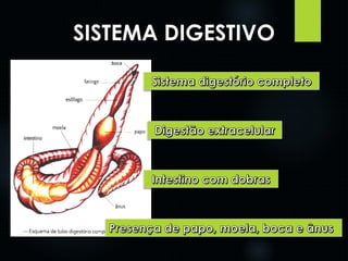 SISTEMA DIGESTIVO 
 