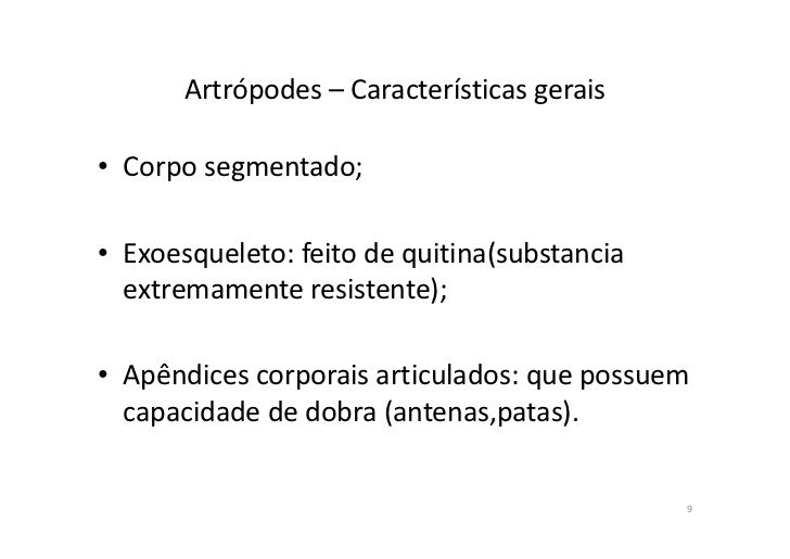 Que vermes vivem em navios
