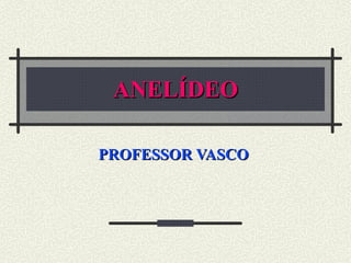 ANELÍDEO PROFESSOR VASCO   