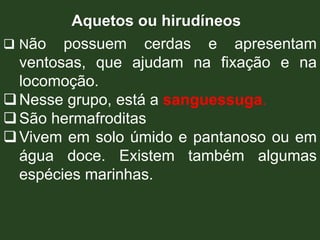 Aquetos ou hirudíneos
 Não possuem cerdas e apresentam
ventosas, que ajudam na fixação e na
locomoção.
Nesse grupo, está a sanguessuga.
São hermafroditas
Vivem em solo úmido e pantanoso ou em
água doce. Existem também algumas
espécies marinhas.
 