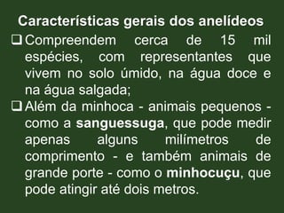 Características gerais dos anelídeos
Compreendem cerca de 15 mil
espécies, com representantes que
vivem no solo úmido, na água doce e
na água salgada;
Além da minhoca - animais pequenos -
como a sanguessuga, que pode medir
apenas alguns milímetros de
comprimento - e também animais de
grande porte - como o minhocuçu, que
pode atingir até dois metros.
 