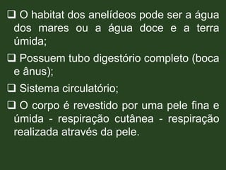  O habitat dos anelídeos pode ser a água
dos mares ou a água doce e a terra
úmida;
 Possuem tubo digestório completo (boca
e ânus);
 Sistema circulatório;
 O corpo é revestido por uma pele fina e
úmida - respiração cutânea - respiração
realizada através da pele.
 