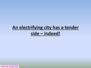 An electrifying city has a tender
side – indeed!
 