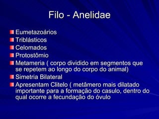 Filo - Anelidae Eumetazoários Triblásticos Celomados Protostômio Metameria ( corpo dividido em segmentos que se repetem ao longo do corpo do animal) Simetria Bilateral Apresentam Clitelo ( metâmero mais dilatado importante para a formação do casulo, dentro do qual ocorre a fecundação do óvulo 