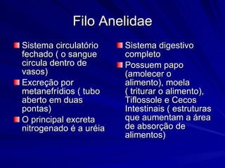 Filo Anelidae Sistema circulatório fechado ( o sangue circula dentro de vasos) Excreção por metanefrídios ( tubo aberto em duas pontas) O principal excreta nitrogenado é a uréia Sistema digestivo completo Possuem papo  (amolecer o alimento), moela  ( triturar o alimento), Tiflossole e Cecos Intestinais ( estruturas que aumentam a área de absorção de alimentos) 