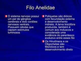 Filo Anelidae O sistema nervoso possui um par de gânglios cerebrais e dois cordões nervosos ventrais. Possuem células que captam estímulos luminosos Poliquetas são dióicos com fecundação externa e desenvolvimento indireto. A larva trocófora produzida, também é comum aos moluscos e considerada uma evidência do parentesco evolutivo entre esses filo Os Hirudíneos e os Oligochetas são Monóicos e tem desenvolvimento direto 