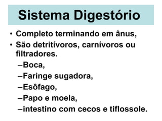 Sistema Digestório  Completo terminando em ânus, São detritívoros, carnívoros ou filtradores. Boca, Faringe sugadora, Esôfago, Papo e moela, intestino com cecos e tiflossole. 