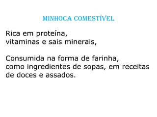 Rica em proteína,  vitaminas e sais minerais, Consumida na forma de farinha,  como ingredientes de sopas, em receitas  de doces e assados.  MINHOCA COMESTÍVEL 