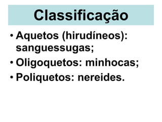 Classificação Aquetos (hirudíneos): sanguessugas; Oligoquetos: minhocas; Poliquetos: nereides. 