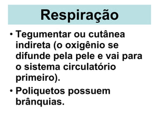 Respiração Tegumentar ou cutânea indireta (o oxigênio se difunde pela pele e vai para o sistema circulatório primeiro). Poliquetos possuem brânquias. 