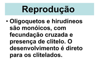 Reprodução   Oligoquetos e hirudíneos são monóicos, com fecundação cruzada e presença de clitelo. O desenvolvimento é direto para os clitelados. 