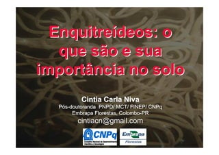 Enquitreídeos: o
   que são e sua
importância no solo
          Cintia Carla Niva
  Pós-doutoranda PNPD/ MCT/ FINEP/ CNPq
       Embrapa Florestas, Colombo-PR
        cintiacn@gmail.com
 