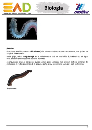 Biologia

Aquetos
Os aquetos (também chamados hirudíneos) não possuem cerdas e apresentam ventosas, que ajudam na
fixação e na locomoção.
Nesse grupo, está a sanguessuga. Ela é hermafrodita e vive em solo úmido e pantanoso ou em água
doce. Existem também algumas espécies marinhas.
A sanguessuga chupa o sangue de outros animais pelas ventosas, mas também pode se alimentar de
minhocas e de restos de animais. É de pequeno porte, o seu comprimento varia de 1 a 20 centímetros.

Sanguessuga

4

 