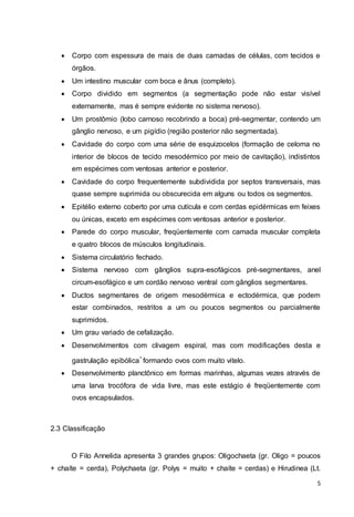  Corpo com espessura de mais de duas camadas de células, com tecidos e 
5 
órgãos. 
 Um intestino muscular com boca e ânus (completo). 
 Corpo dividido em segmentos (a segmentação pode não estar visível 
externamente, mas é sempre evidente no sistema nervoso). 
 Um prostômio (lobo carnoso recobrindo a boca) pré-segmentar, contendo um 
gânglio nervoso, e um pigídio (região posterior não segmentada). 
 Cavidade do corpo com uma série de esquizocelos (formação de celoma no 
interior de blocos de tecido mesodérmico por meio de cavitação), indistintos 
em espécimes com ventosas anterior e posterior. 
 Cavidade do corpo frequentemente subdividida por septos transversais, mas 
quase sempre suprimida ou obscurecida em alguns ou todos os segmentos. 
 Epitélio externo coberto por uma cutícula e com cerdas epidérmicas em feixes 
ou únicas, exceto em espécimes com ventosas anterior e posterior. 
 Parede do corpo muscular, freqüentemente com camada muscular completa 
e quatro blocos de músculos longitudinais. 
 Sistema circulatório fechado. 
 Sistema nervoso com gânglios supra-esofágicos pré-segmentares, anel 
circum-esofágico e um cordão nervoso ventral com gânglios segmentares. 
 Ductos segmentares de origem mesodérmica e ectodérmica, que podem 
estar combinados, restritos a um ou poucos segmentos ou parcialmente 
suprimidos. 
 Um grau variado de cefalização. 
 Desenvolvimentos com clivagem espiral, mas com modificações desta e 
gastrulação epibólica 
∗ 
formando ovos com muito vitelo. 
 Desenvolvimento planctônico em formas marinhas, algumas vezes através de 
uma larva trocófora de vida livre, mas este estágio é freqüentemente com 
ovos encapsulados. 
2.3 Classificação 
O Filo Annelida apresenta 3 grandes grupos: Oligochaeta (gr. Oligo = poucos 
+ chaíte = cerda), Polychaeta (gr. Polys = muito + chaíte = cerdas) e Hirudinea (Lt. 
 