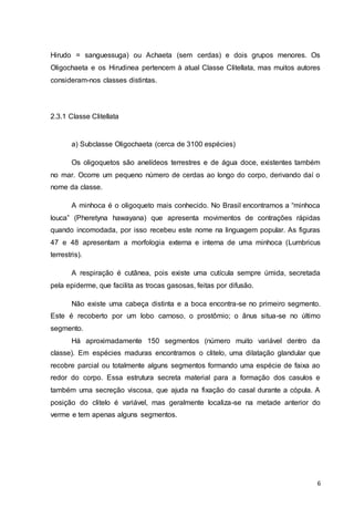 Hirudo = sanguessuga) ou Achaeta (sem cerdas) e dois grupos menores. Os 
Oligochaeta e os Hirudinea pertencem à atual Classe Clitellata, mas muitos autores 
consideram-nos classes distintas. 
6 
2.3.1 Classe Clitellata 
a) Subclasse Oligochaeta (cerca de 3100 espécies) 
Os oligoquetos são anelídeos terrestres e de água doce, existentes também 
no mar. Ocorre um pequeno número de cerdas ao longo do corpo, derivando daí o 
nome da classe. 
A minhoca é o oligoqueto mais conhecido. No Brasil encontramos a “minhoca 
louca” (Pheretyna hawayana) que apresenta movimentos de contrações rápidas 
quando incomodada, por isso recebeu este nome na linguagem popular. As figuras 
47 e 48 apresentam a morfologia externa e interna de uma minhoca (Lumbricus 
terrestris). 
A respiração é cutânea, pois existe uma cutícula sempre úmida, secretada 
pela epiderme, que facilita as trocas gasosas, feitas por difusão. 
Não existe uma cabeça distinta e a boca encontra-se no primeiro segmento. 
Este é recoberto por um lobo carnoso, o prostômio; o ânus situa-se no último 
segmento. 
Há aproximadamente 150 segmentos (número muito variável dentro da 
classe). Em espécies maduras encontramos o clitelo, uma dilatação glandular que 
recobre parcial ou totalmente alguns segmentos formando uma espécie de faixa ao 
redor do corpo. Essa estrutura secreta material para a formação dos casulos e 
também uma secreção viscosa, que ajuda na fixação do casal durante a cópula. A 
posição do clitelo é variável, mas geralmente localiza-se na metade anterior do 
verme e tem apenas alguns segmentos. 
 
