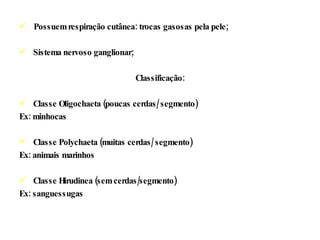 Possuem respiração cutânea: trocas gasosas pela pele;  Sistema nervoso ganglionar; Classificação: Classe Oligochaeta (poucas cerdas/ segmento) Ex: minhocas Classe Polychaeta (muitas cerdas/ segmento) Ex: animais marinhos Classe Hirudinea (sem cerdas/segmento) Ex: sanguessugas 