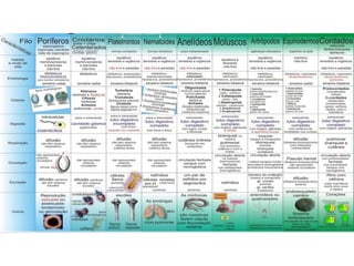 Anelideos.ppt