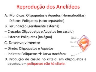 Reprodução dos Anelídeos
A. Monóicos: Oligoquetos e Aquetos (Hermafroditas)
Dióicos: Poliquetos (sexo separados)
B. Fecundação (geralmente externa):
– Cruzada: Oligoquetos e Aquetos (no casulo)
– Externa: Poliquetos (na água)
C. Desenvolvimento:
– Direto: Oligoquetos e Aquetos
– Indireto: Poliquetos  Larva trocófora
D. Produção de casulo no clitelo: em oligoquetos e
aquetos, em poliquetos não há clitelo.
 